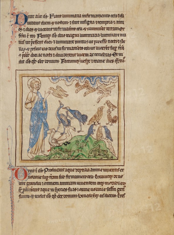 The Creation of the Birds and Fishes; Northumberland Bestiary, about 1250-1260. Creator: Unknown.