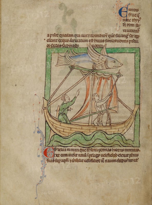 A Flying Fish; Northumberland Bestiary, about 1250-1260. Creator: Unknown.