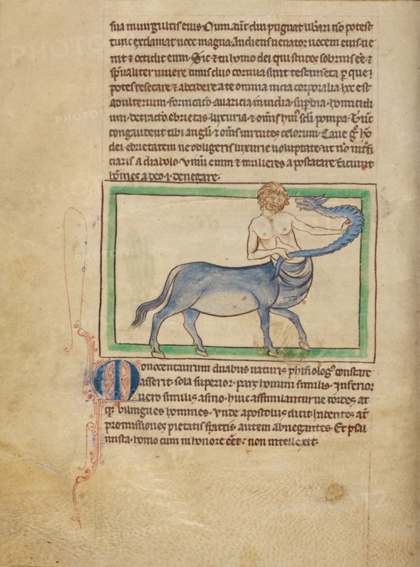 A Monocentaurus; Northumberland Bestiary, about 1250-1260. Creator: Unknown.