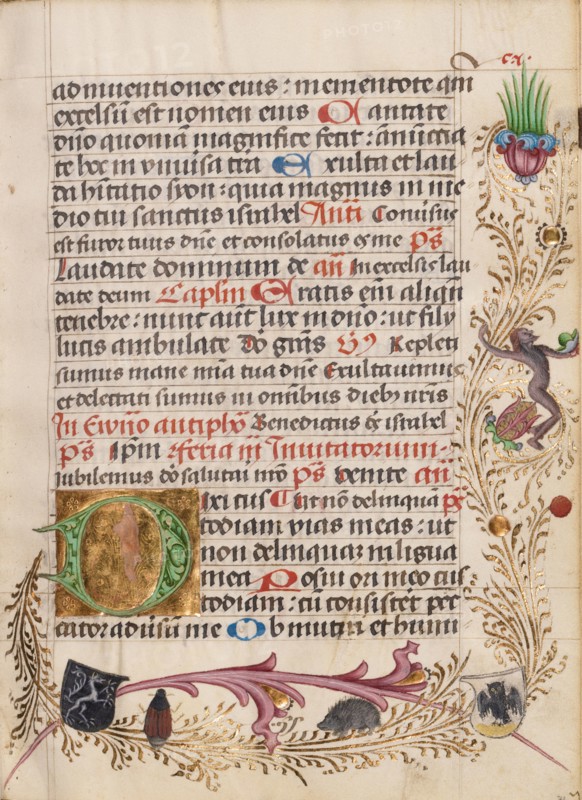 Decorated Initial D; Diurnal, about 1485. Creator: Unknown.
