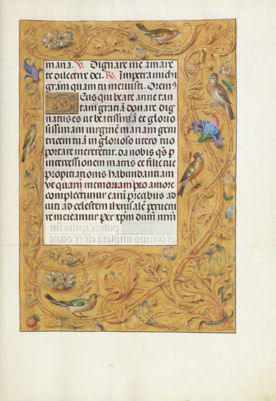 Decorated Text Page; Spinola Hours, about 1510-1520. Creator: Unknown.