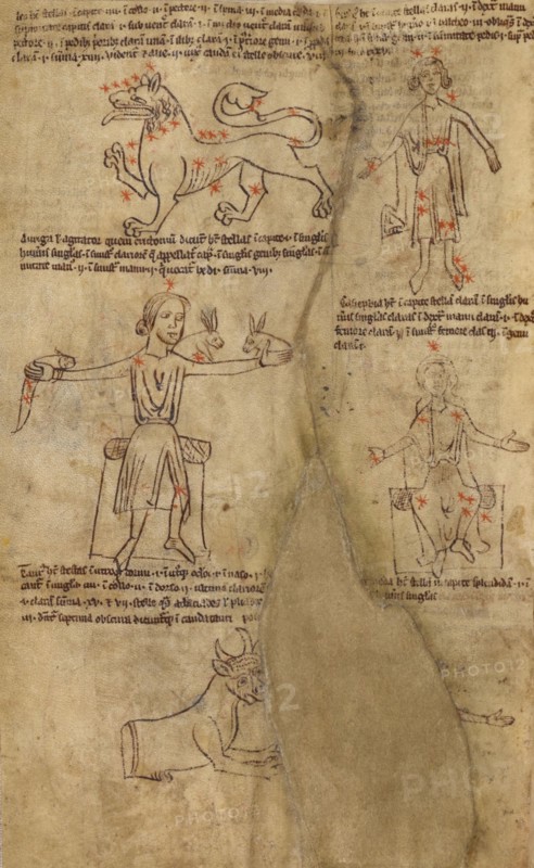 Constellation Diagrams, early 13th century. Creator: Unknown.