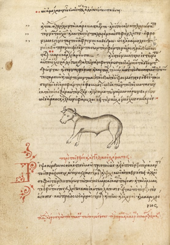 An Ox, 1510-1520. Creator: Unknown.