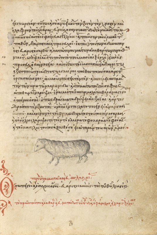 A Sheep, 1510-1520. Creator: Unknown.