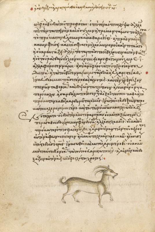 A Goat, 1510-1520. Creator: Unknown.
