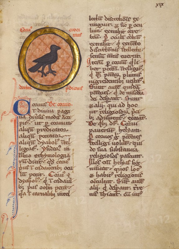 A Magpie; Bestiary, about 1270. Creator: Unknown.