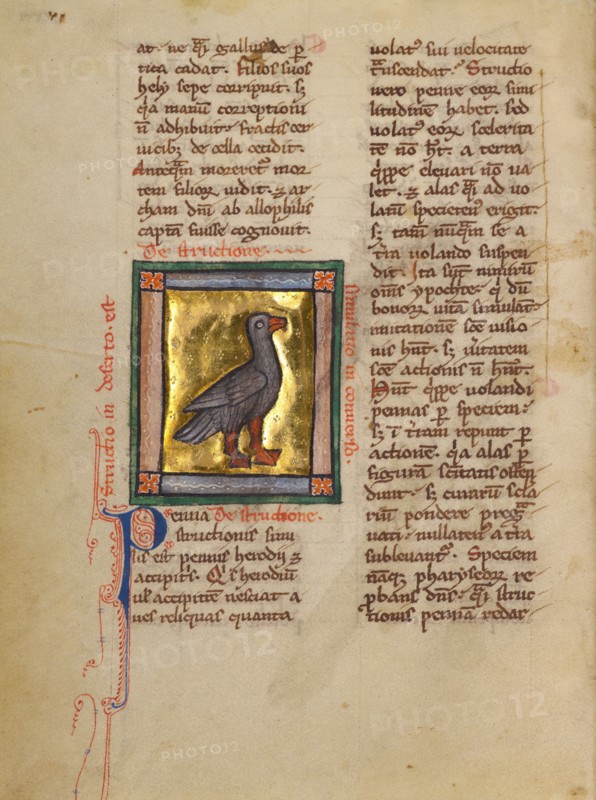 An Ostrich; Bestiary, about 1270. Creator: Unknown.