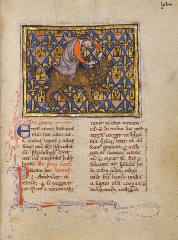 Samson Wrestling with the Lion; Bestiary, about 1270. Creator: Unknown.