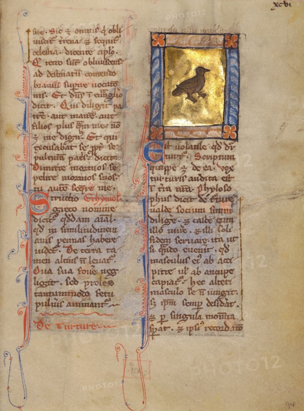 A Turtle Dove; Bestiary, about 1270. Creator: Unknown.