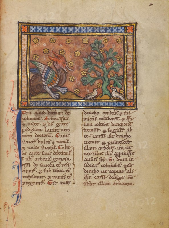 A Peridexion Tree; Bestiary, about 1270. Creator: Unknown.