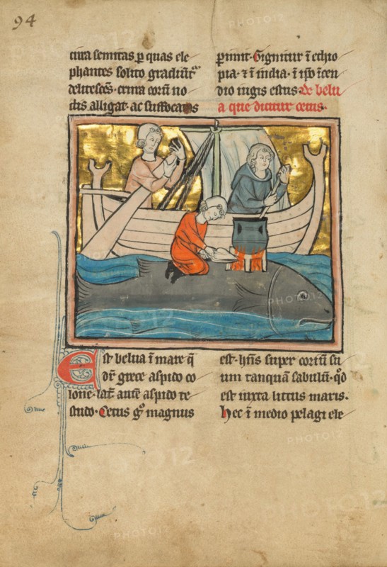 A Whale, 1277 or after. Creator: Unknown.