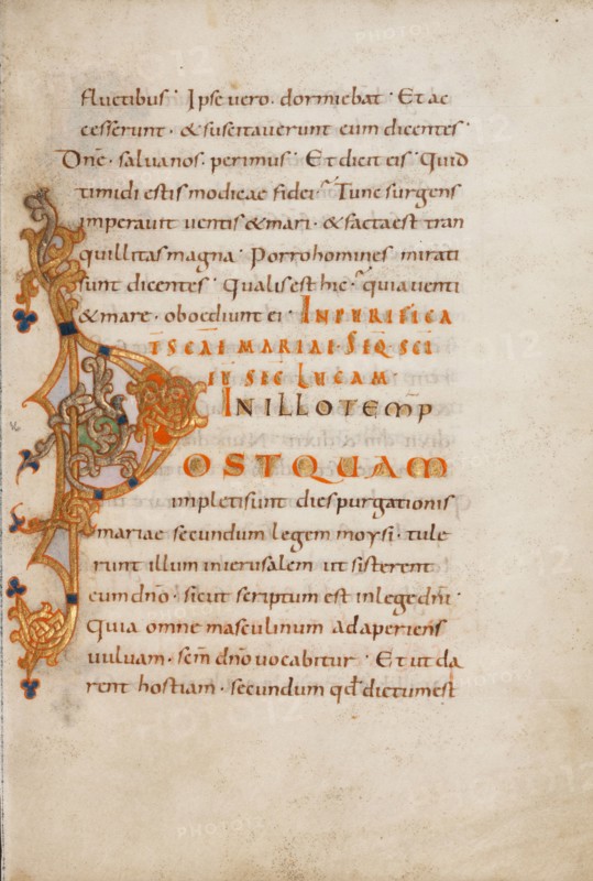 Decorated Initial P; Gospel Lectionary, late 10th century. Creator: Unknown.
