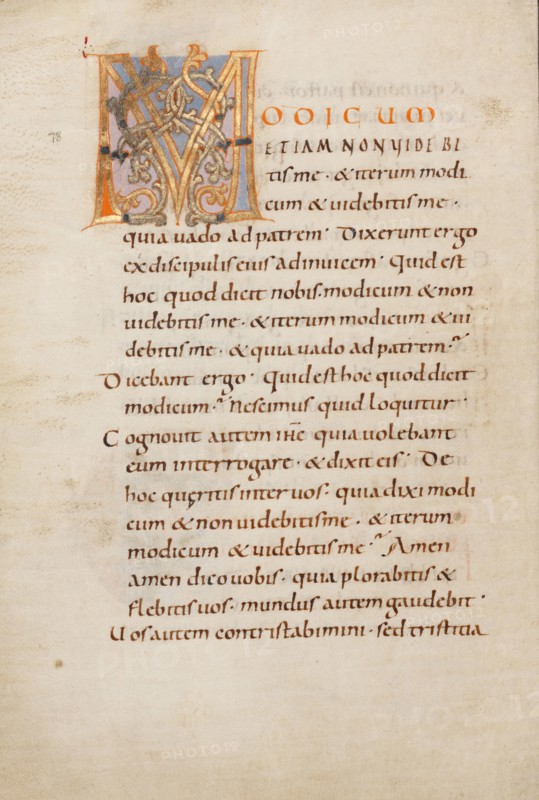 Decorated Initial M; Gospel Lectionary, late 10th century. Creator: Unknown.