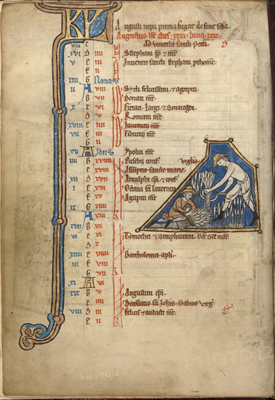 August Calendar Page; Reaping; Psalter, mid-1200s. Creator: Unknown.