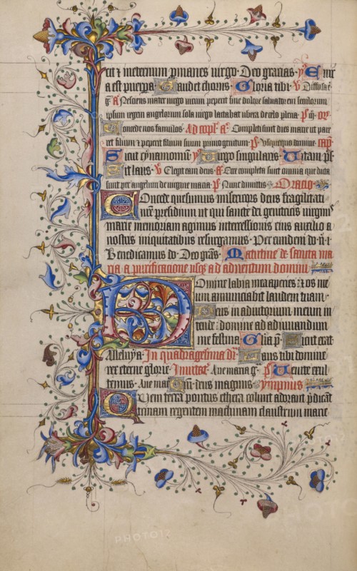 Decorated Initial D; Psalter, 1420-1430. Creator: Unknown.