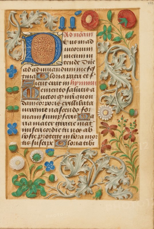 Decorated Initial D; Crohin-La Fontaine Hours, about 1480-1485 ?. Creator: Unknown.