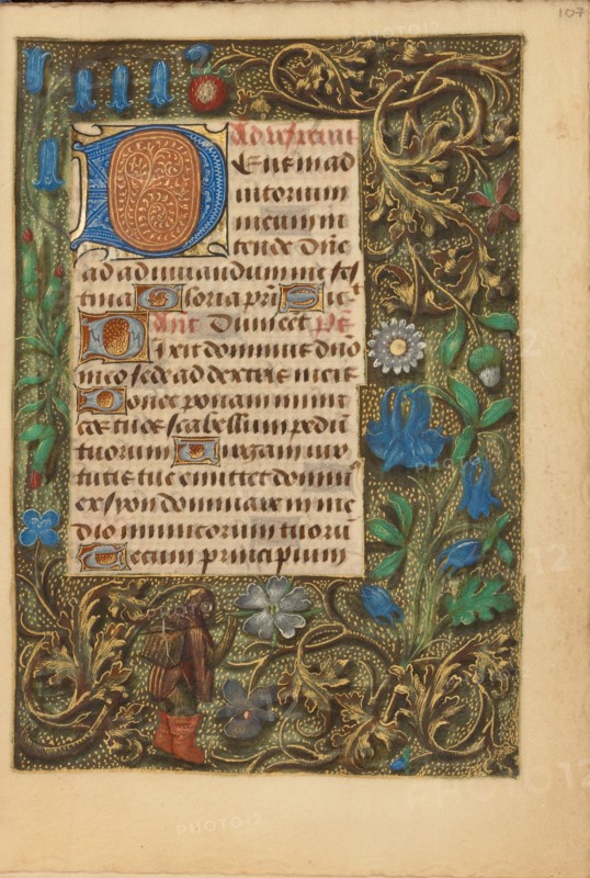 Decorated Initial D; Crohin-La Fontaine Hours, about 1480-1485 ?. Creator: Unknown.