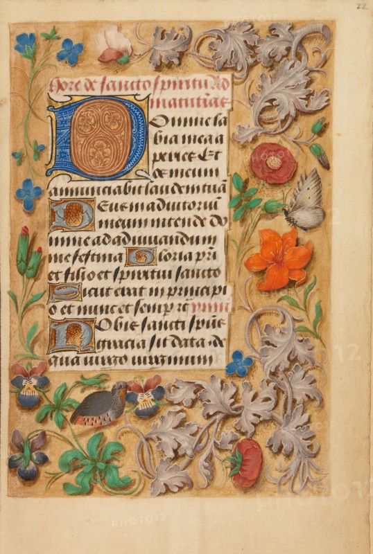 Decorated Initial D; Crohin-La Fontaine Hours, about 1480-1485 ?. Creator: Unknown.
