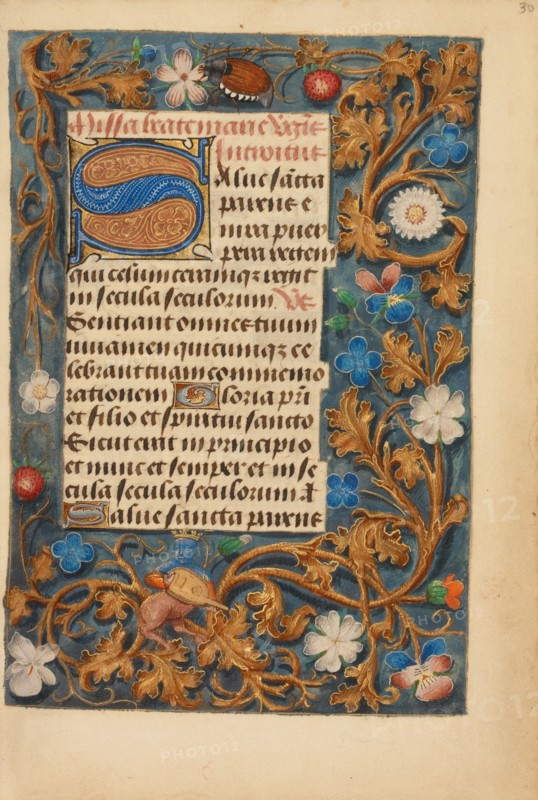 Decorated Initial S; Crohin-La Fontaine Hours, about 1480-1485 ?. Creator: Unknown.