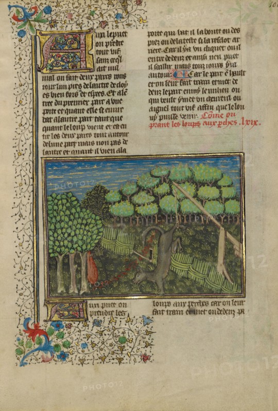 A Wolf Caught in a Foot Trap; Livre de la Chasse, about 1430-1440. Creator: Unknown.