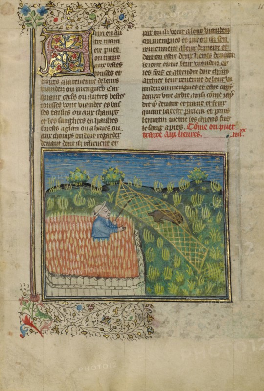 Hunters Netting a Hare; Livre de la Chasse, about 1430-1440. Creator: Unknown.