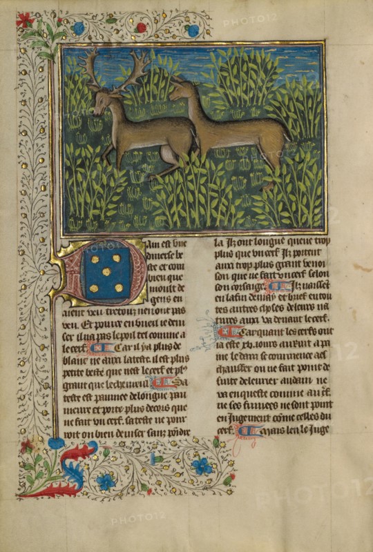 Fallow Deer; Livre de la Chasse, about 1430-1440. Creator: Unknown.