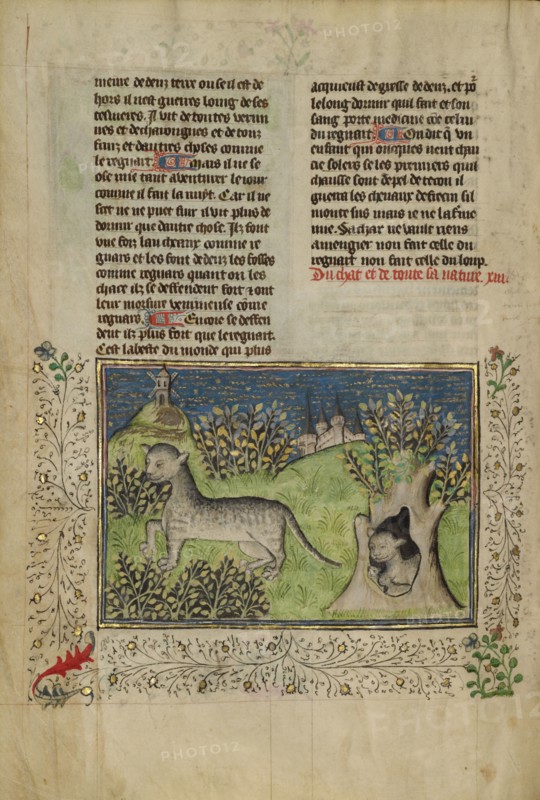 Wildcats; Livre de la Chasse, about 1430-1440. Creator: Unknown.