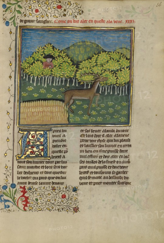 A Hunter Spotting a Deer; Livre de la Chasse, about 1430-1440. Creator: Unknown.