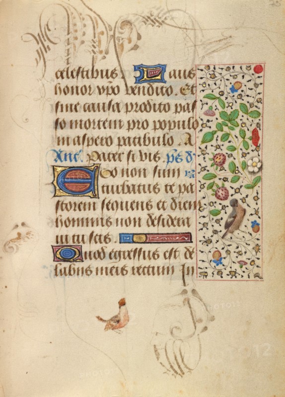 Decorated Text Page; Prayer Book of Charles the Bold, about 1471. Creator: Unknown.