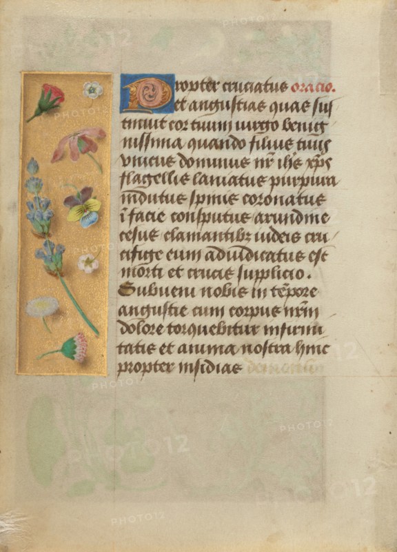 Decorated Text Page, about 1480-1490. Creator: Unknown.