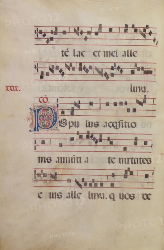 Decorated Initial P; Gradual, late 15th or early 16th century. Creator: Antonio da Monza.
