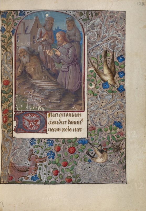 Job on the Dung Heap; Book of Hours, about 1480-1490. Creator: Jean Bourdichon.