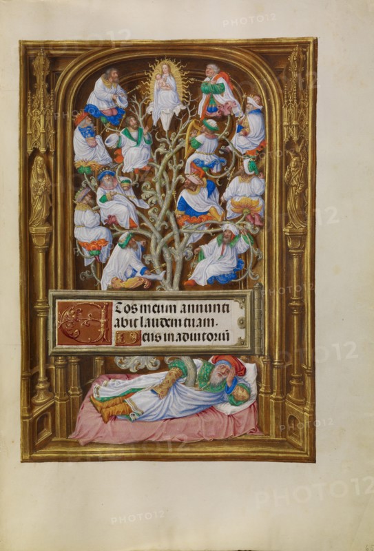 The Tree of Jesse; Spinola Hours, about 1510-1520. Creator: Master of James IV of Scotland.