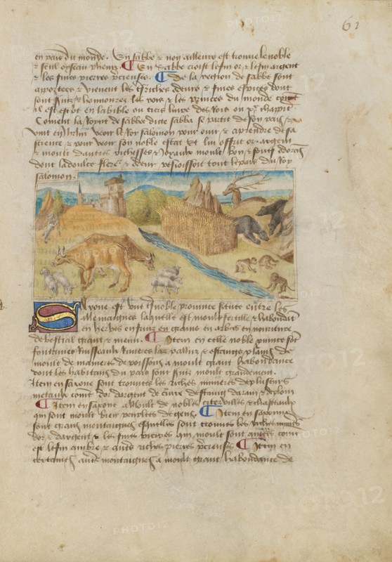 Kingdom of Saxony; Livre des merveilles du monde (Book of the Marvels of the World), about 1460-1465 Creator: Master of the Geneva Boccaccio.