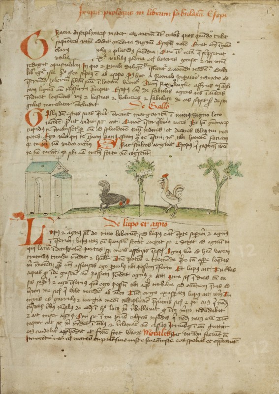 A Rooster Pecking at the Ground; Fables..., third quarter of 15th century. Creator: Unknown.
