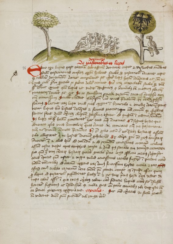 A Flock of Birds under a Tree including a Crowned Eagle with a..., third quarter of 15th century. Creator: Unknown.