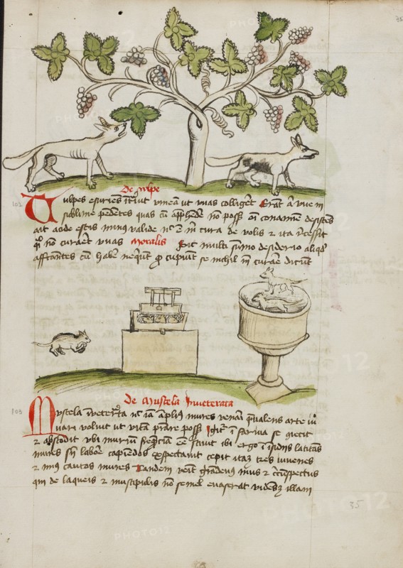 A Weasel and Several Captured Mice; Fables, third quarter of 15th century. Creator: Unknown.