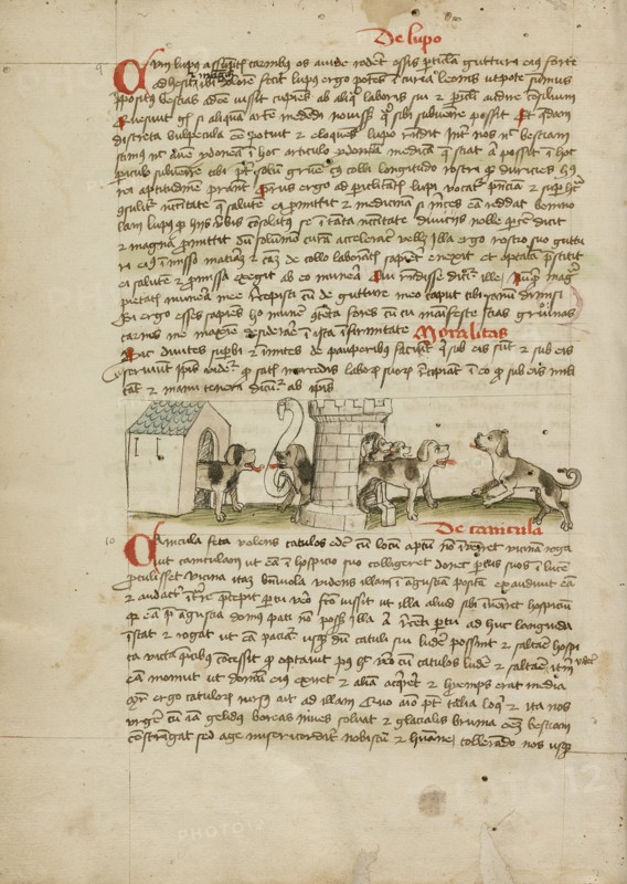 Two Dogs Barking and Cubs; Fables, third quarter of 15th century. Creator: Unknown.