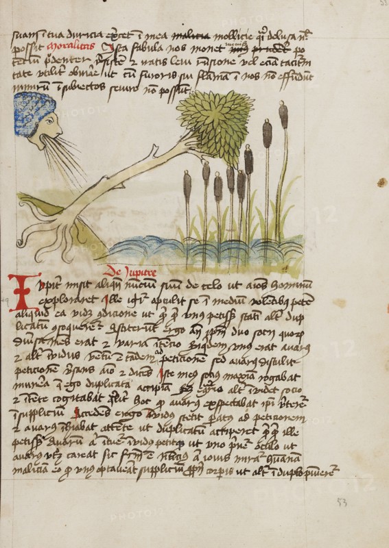 An Oak Tree Up-Rooted by Strong Winds; Fables, third quarter of 15th century. Creator: Unknown.