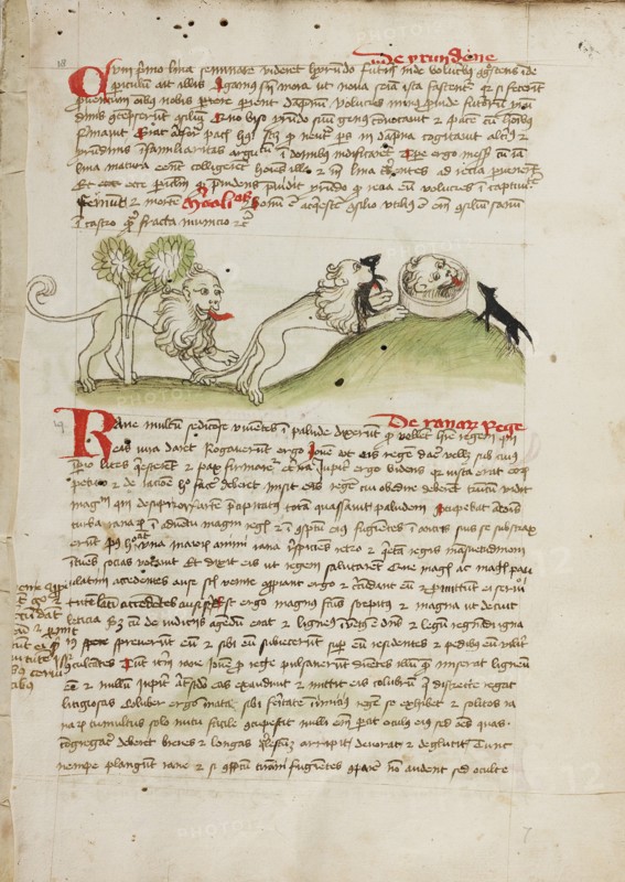 A Lion and Another Lion with a Mouse; Fables; Animal Fables, third quarter of 15th century. Creator: Unknown.