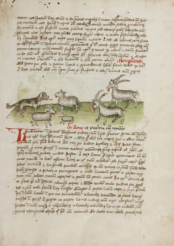 A Dog, Sheep, and Rams; Fables, third quarter of 15th century. Creator: Unknown.