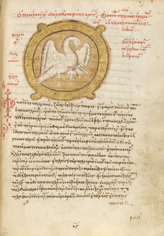 A Pelican Feeding her Young; Miscellany: Physiologus: other texts, 1510-1520. Creator: Unknown.