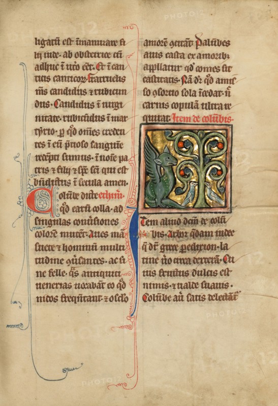 A Peridexion Tree; De Natura Avium; De Pastoribus et Ovibus; Bestiarium, 1277 or after. Creator: Unknown.