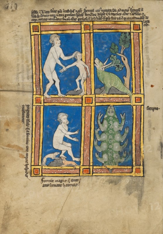 Praesillus; A Hairy Woman of the Island of Gorgade; A Scorpion; De Natura Avium..., 1277 or after. Creator: Unknown.
