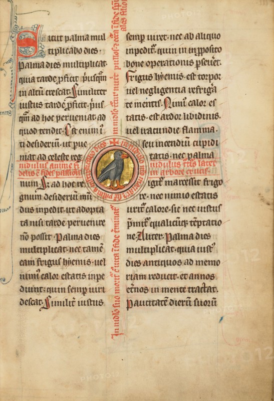 A Medallion with a Turtle Dove; De Natura Avium; De Pastoribus et Ovibus; Bestiarium, 1277 or after. Creator: Unknown.