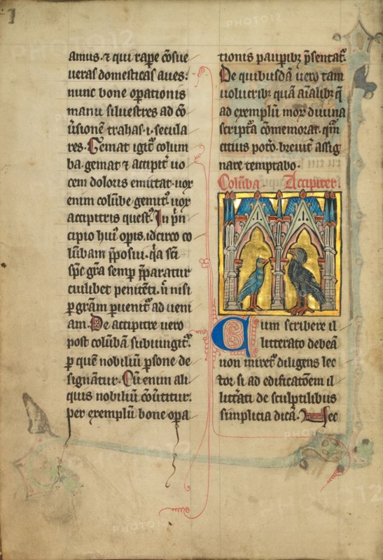 A Dove and a Falcon; De Natura Avium; De Pastoribus et Ovibus, 1277 or after. Creator: Unknown.