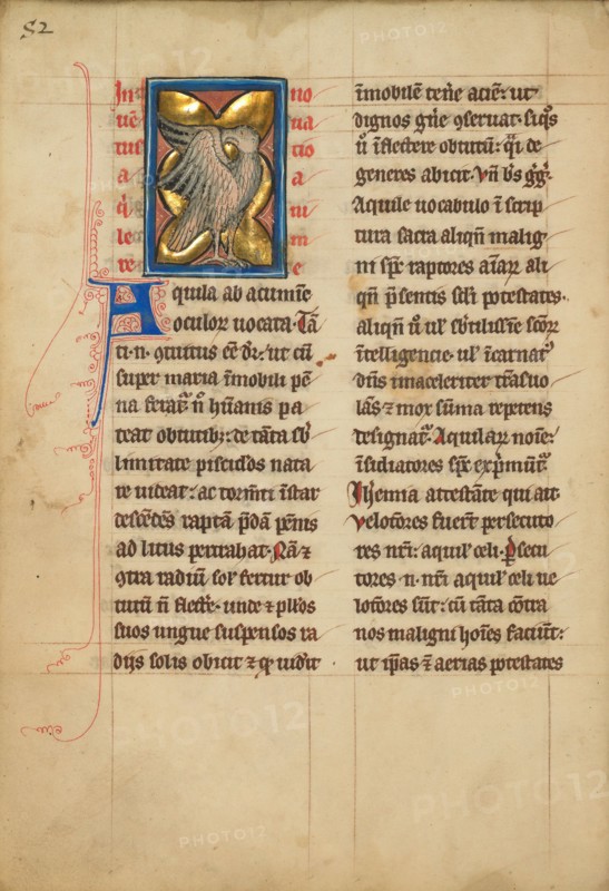 An Eagle; De Natura Avium; De Pastoribus et Ovibus, 1277 or after. Creator: Unknown.