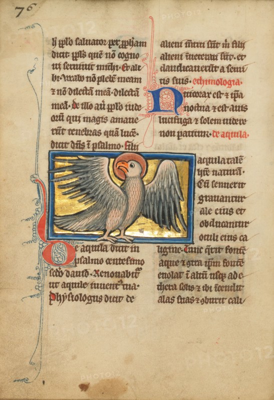 An Eagle; De Natura Avium; De Pastoribus et Ovibus, 1277 or after. Creator: Unknown.