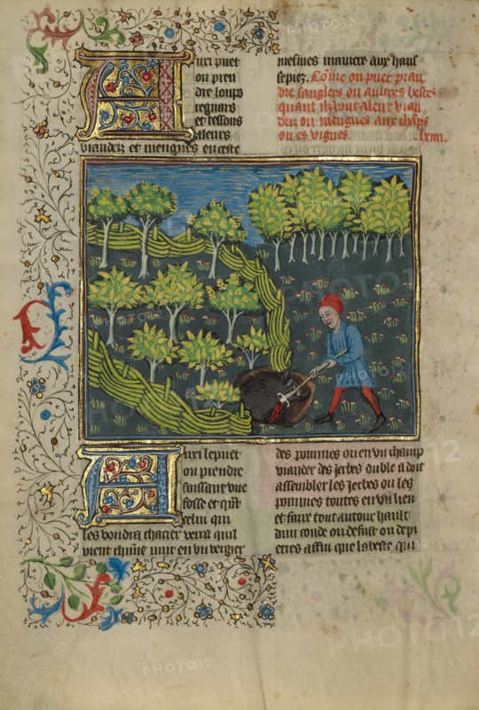 A Hunter Wounding a Wild Boar Caught in a Pit; Livre de la Chasse, about 1430-1440. Creator: Unknown.