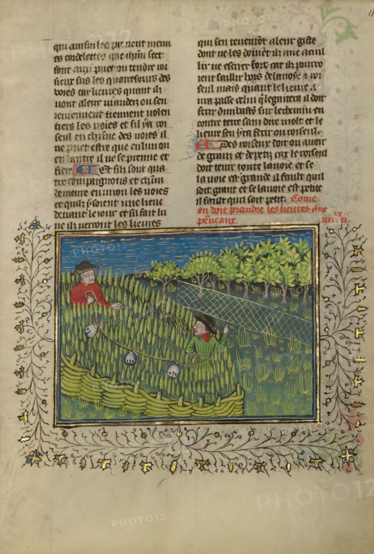 Hunters with Bells Driving Hares into a Net; Livre de la Chasse, about 1430-1440. Creator: Unknown.